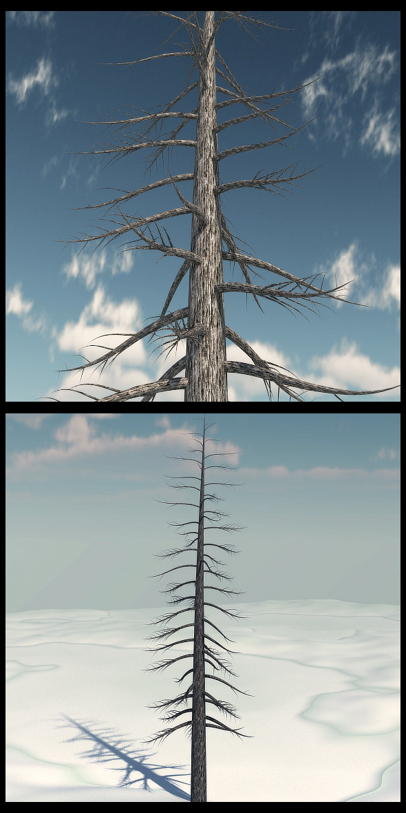 Dead Pine Tree - 3Docean 9799341