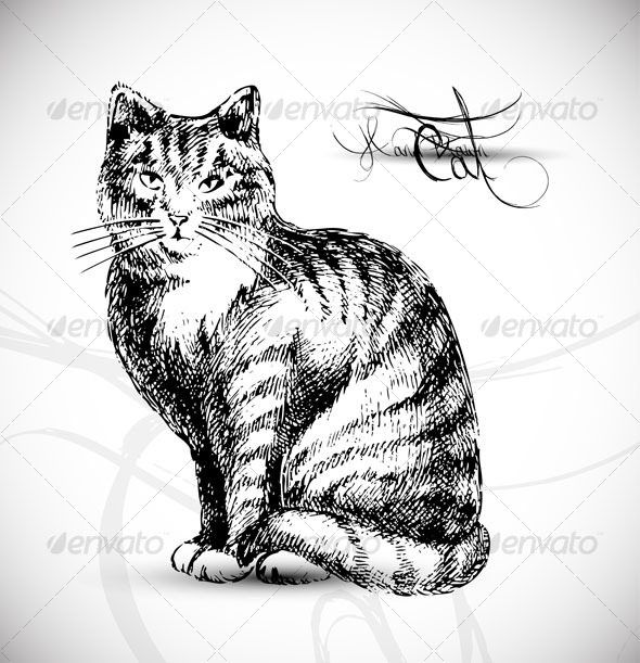 Black Cat Drawing Vectors from GraphicRiver