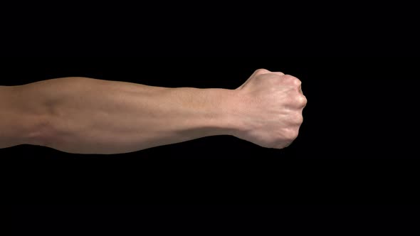 Fist Punch Outside of Arm with transparency