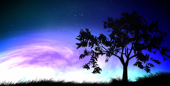Night sky and tree loop