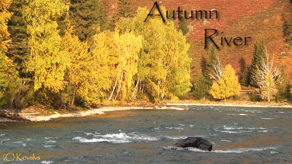 River And Autumn Forest