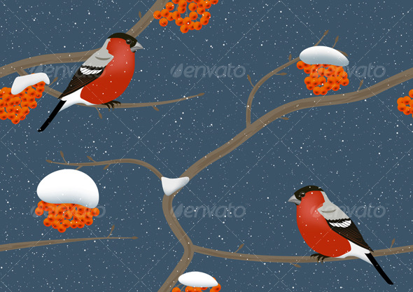 Birds in winter - Seasons Nature
