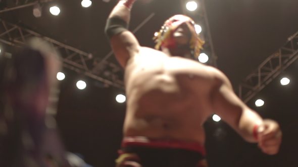 Mexican Wrestling 1 alt