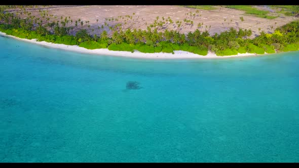 Aerial flying over nature of idyllic bay beach wildlife by turquoise sea with white sand background  alt
