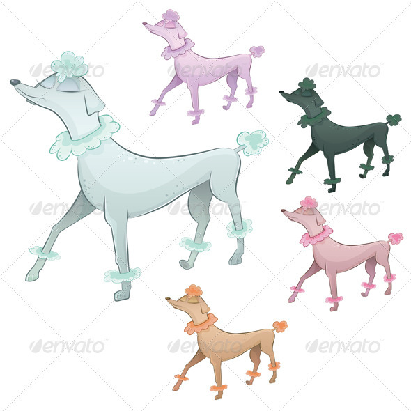 Vector Poodle Character