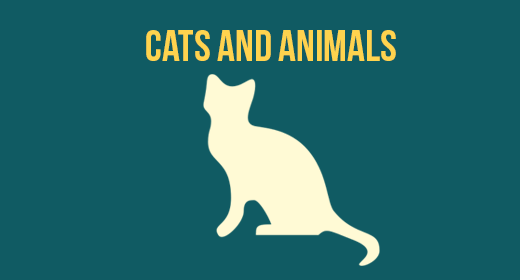 Cats and Animals
