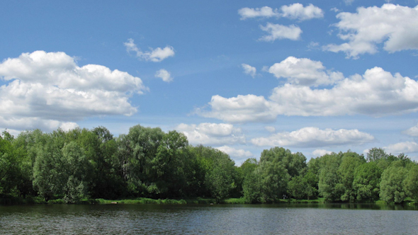 Sunny Pond Time Lapse