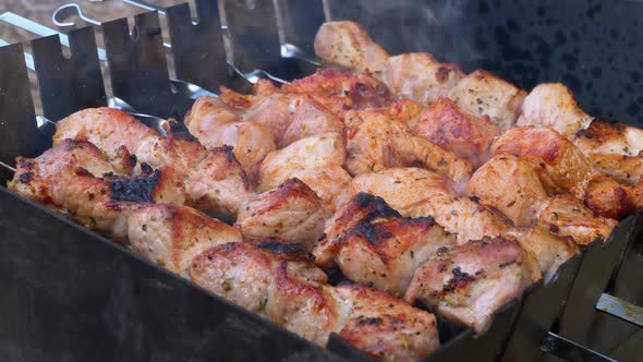 Shish Kebabs on Skewers Are Prepared on Grill. Raw Meat Cooked on Charcoal Grill alt