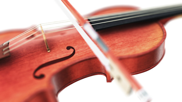 Violin