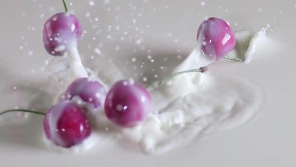 Many Sweet Cherry Berries Fall Into the Milk