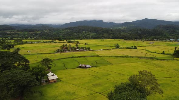 Aerial view of rice terraces field in northern of Thailand by drone