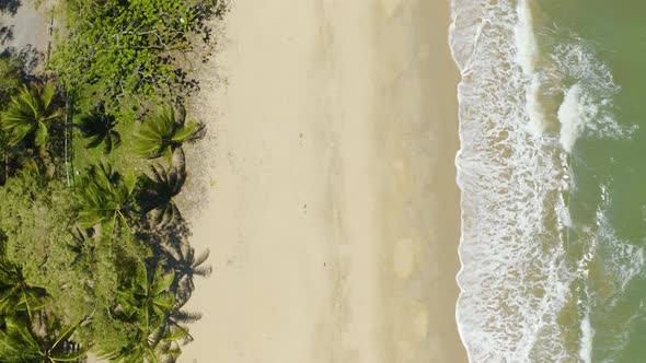 Aerial, Gorgeous View On The Ocean Waves And Tropical Beach, Top Down View 