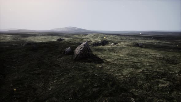 Beautiful Dramatic Summer Outdoor Scenery alt