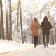 Winter Couple - VideoHive Item for Sale
