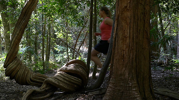 Running In The Rainforest