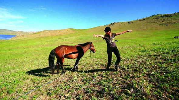 Female Tourist Next To Mongolian Horse 