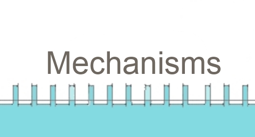 Mechanisms