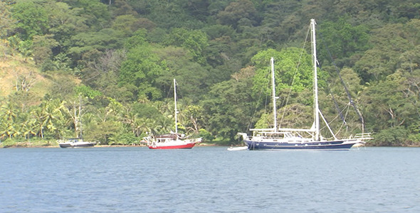 Sailboats in Bay