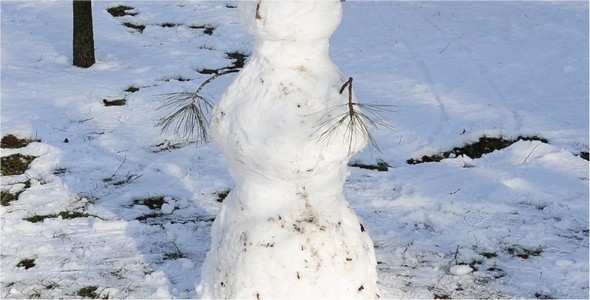Snowman 2