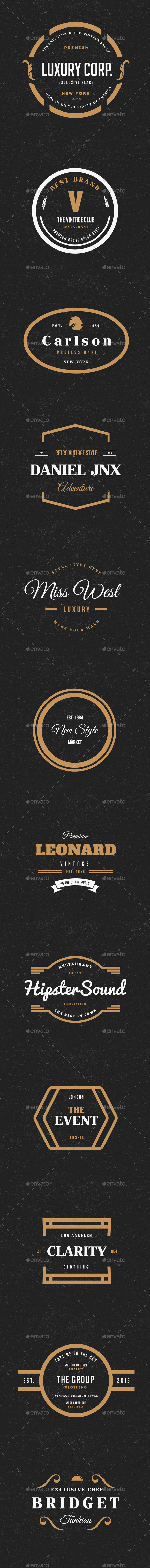 12 Vintage Logos Labels & Badges - Badges & Stickers Web Elements