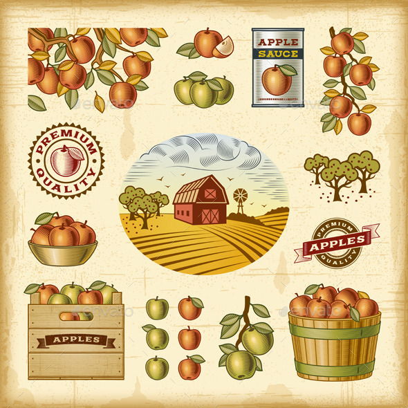 Vintage Colorful Apple Harvest Set - Food Objects