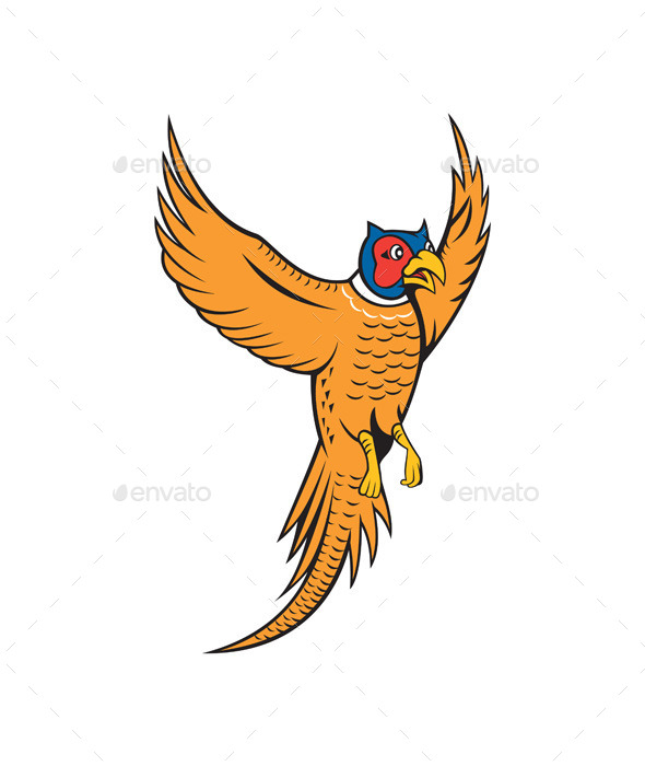 Pheasant Bird Fowl Flying Cartoon - Animals Characters
