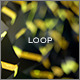 Crystallize Loop 5 Crystallize Loop 5 - VideoHive Item for Sale