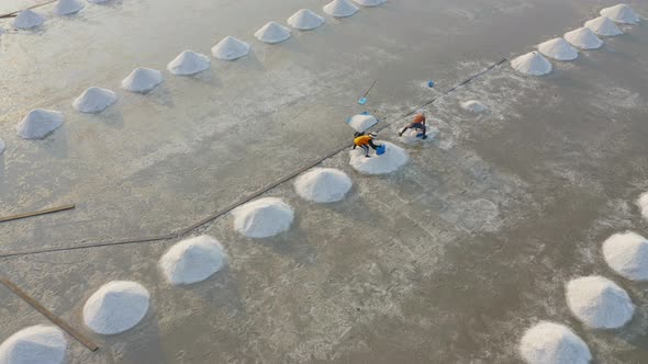 Aerial top view of farmers making heaps of raw sea salt piles with sea. Farm field outdoor. Nature