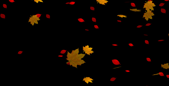 Falling Leaves