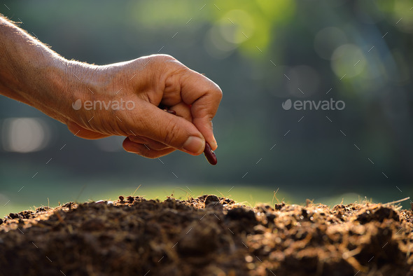 Planting  - Stock Photo - Images
