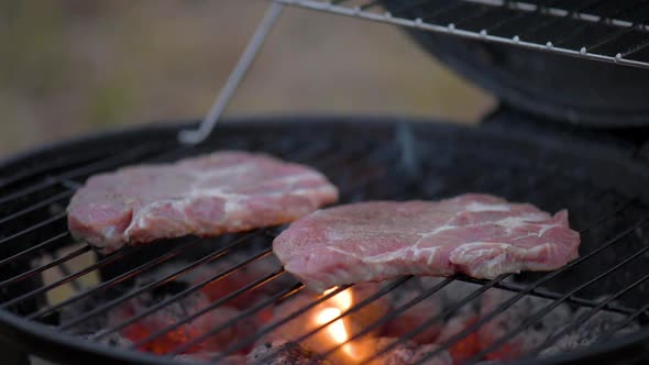Cooking Meat Steaks on Grill alt