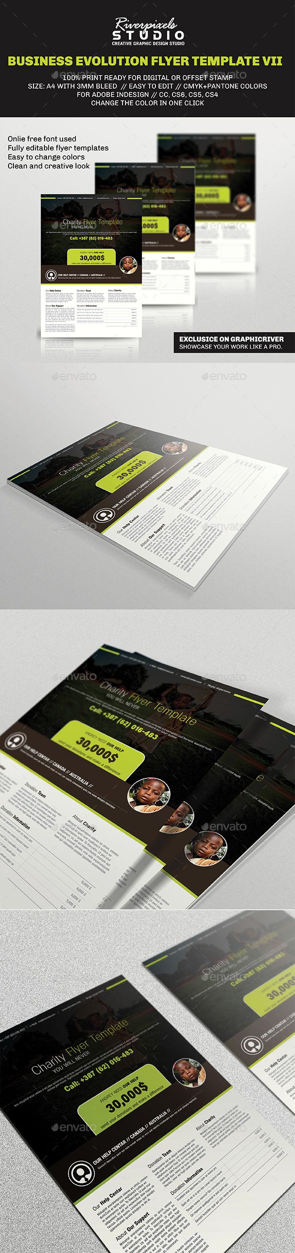 Business Evolution Flyer Template VII - Corporate Flyers