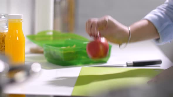 Mother Packing Meal for School Lunch Into Box alt