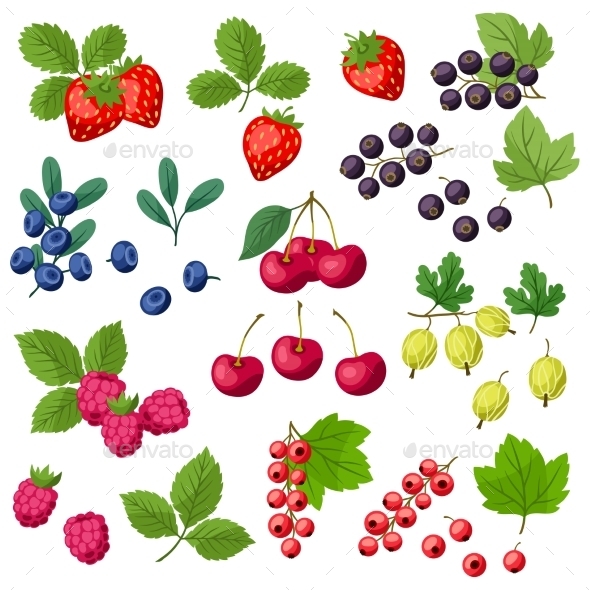 Set of Berries - Nature Conceptual