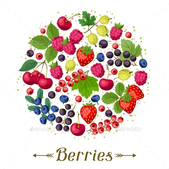 Berries Background - Nature Conceptual