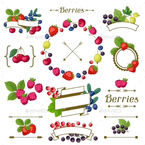 Berry Frames and Labels - Nature Conceptual
