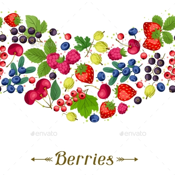 Berries - Nature Conceptual