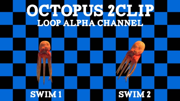 Octopus 2 Clip Loop