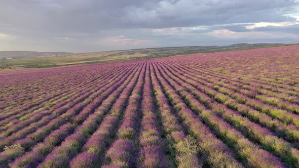 Aerial Nature Landscape Video