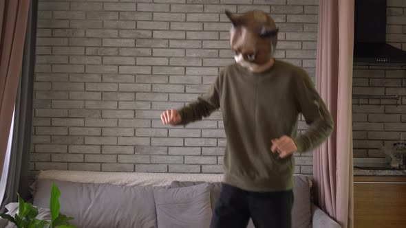 A male freak in a cat mask dances a stupid dance at home in the living room alt