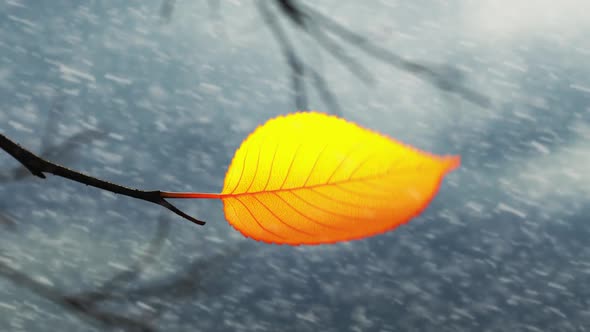 Wind Rips Last Yellow Leaf From Branch On Background Of Falling Snow alt