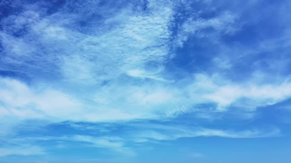 Aerial drone shot seascape of marine tourist beach wildlife by transparent ocean with bright sand ba alt
