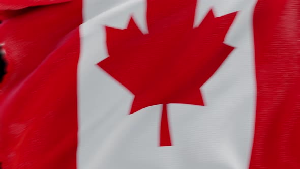 4K Canada flag transition with alpha. two step alt