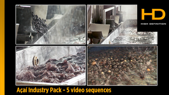 Açaí Industry Pack