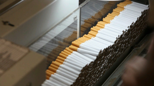 Tobacco and Cigarette Production 2