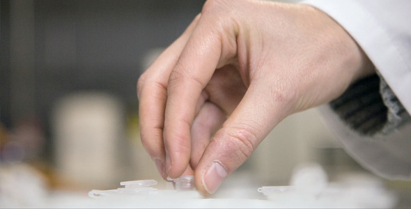 Samples In The Laboratory alt