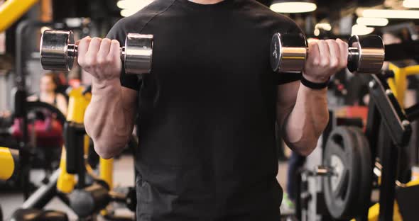 Torso of Athletic Man in a Black Tshirt Doing Biceps Exercises in the Gym with Dumbbells