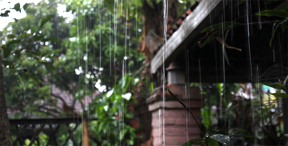 Rain Falling Down Rain Falling Down