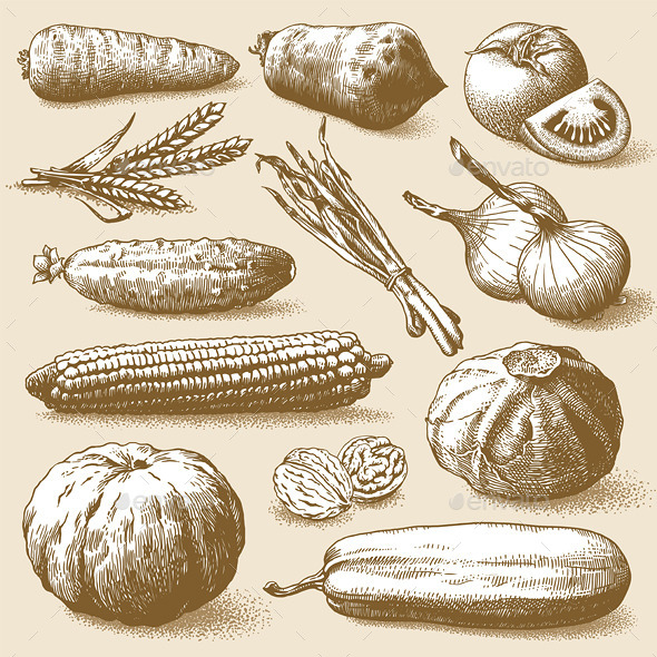 Vegetables Fruits and Plants Vector - Organic Objects Objects