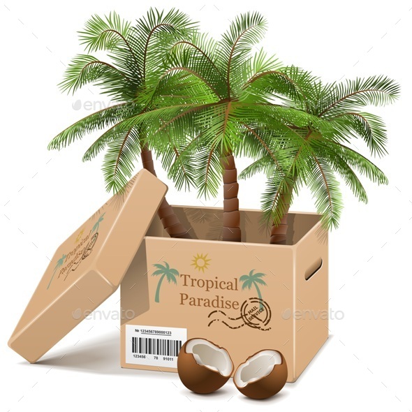 Vector Palm Tree in Box - Travel Conceptual